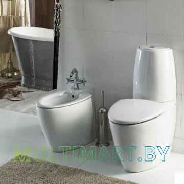 Унитаз Roca Veranda А342447000 картинка 3
